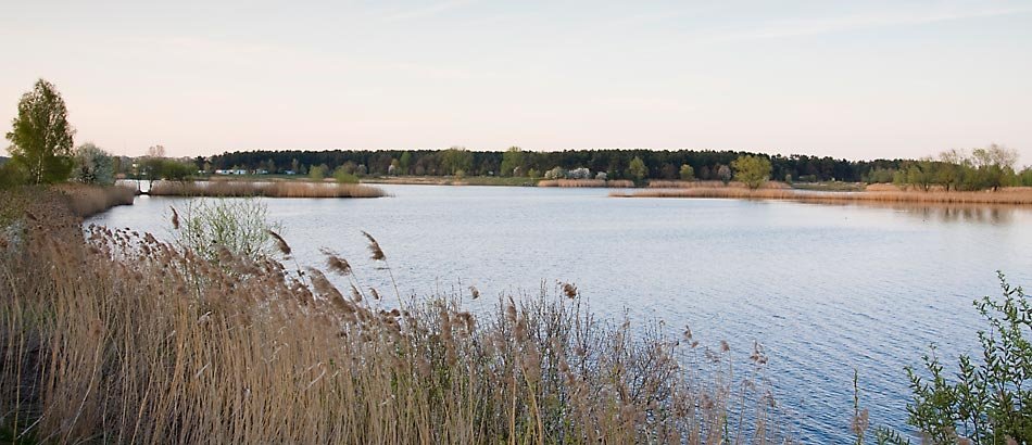 Dębowa - jezioro