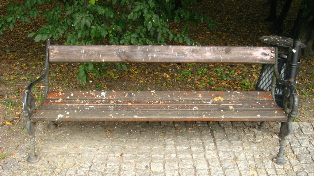 Obsrana ławeczka 2