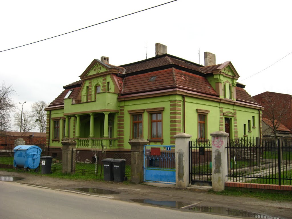 Zielony budynek przy niebieskim śmietniku