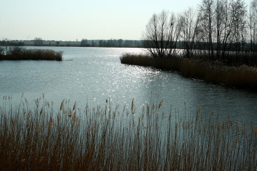 Koźle, Dębowa