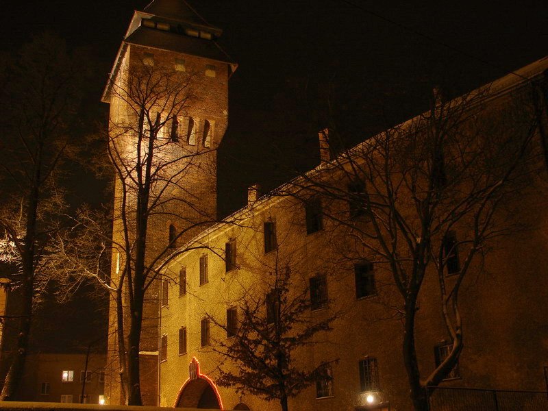 Wieża ciśnień wraz z muzeum im. Jana Dzierżona ze stałą ekspozycją poświęconą pszczelarstwu