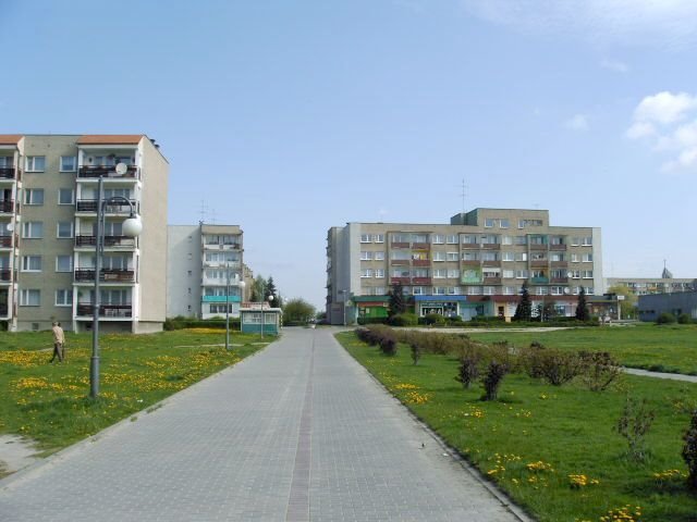 Planty