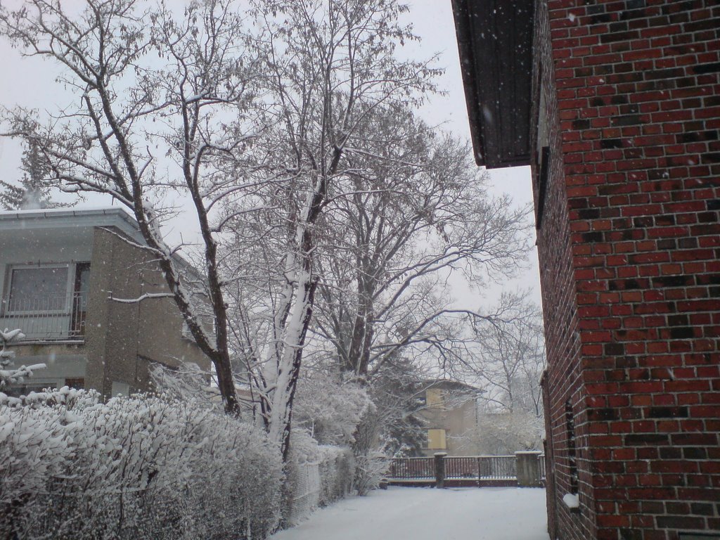 ul. Kościuszki (24.03.2008)