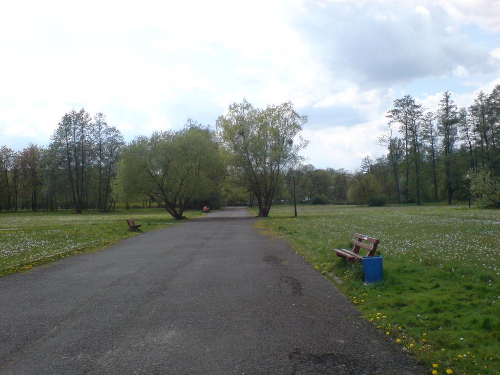 "Asfaltówka"