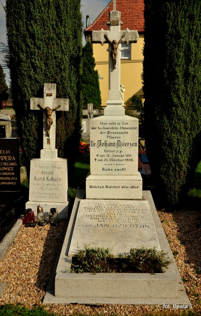 Kluczbork - Jan Dzierżon grave, whos called "the father of modern beekeeping" / Kluczbork - grób Jana Dzierżona, zwanego "ojcem współczesnego pszczelarstwa"