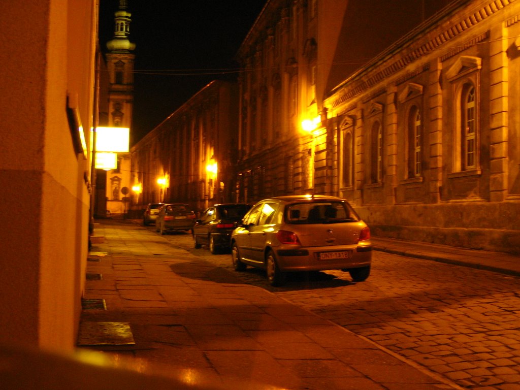 Nysa Budynek Carolinum Nocą