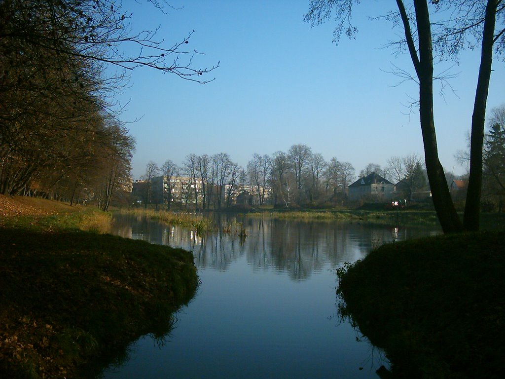 Nysa Park Staw