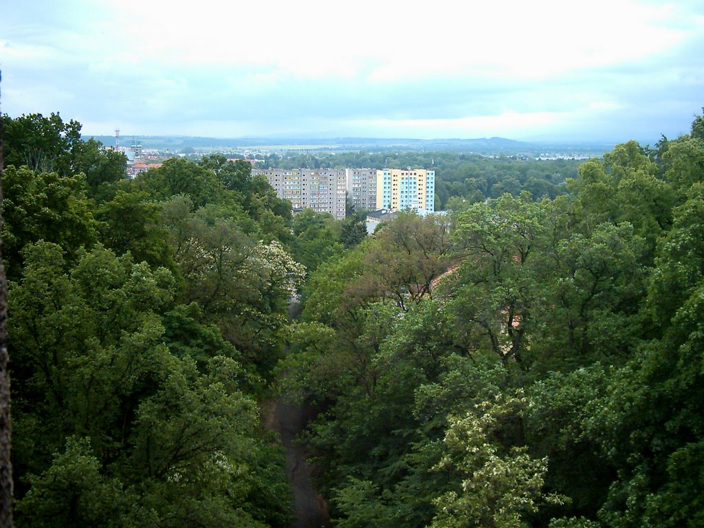 Nysa Widok z wieży ciśnień