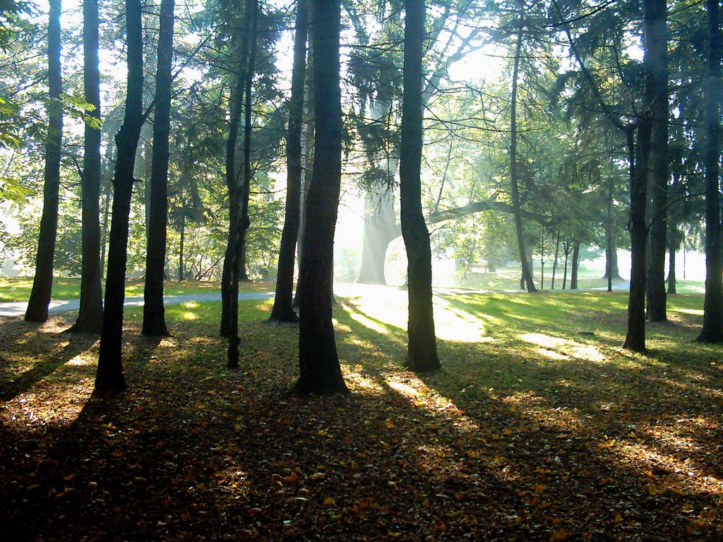 Nysa Park