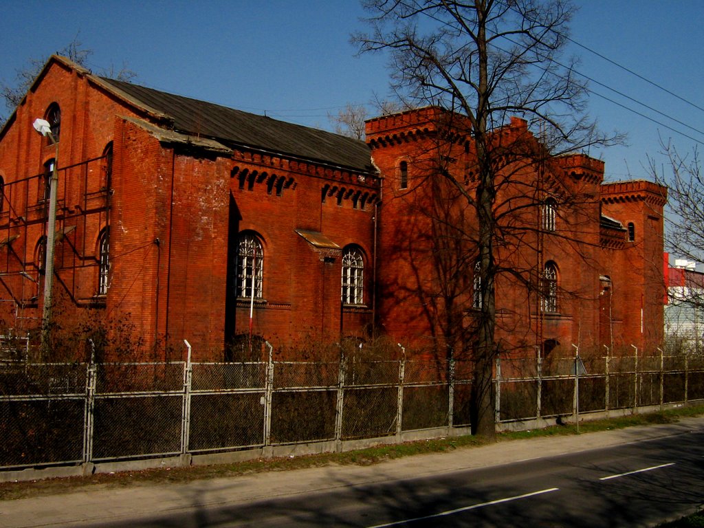 Nysa