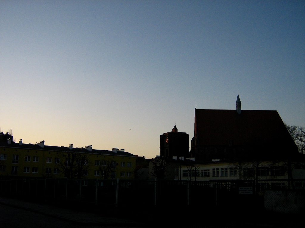 Nysa