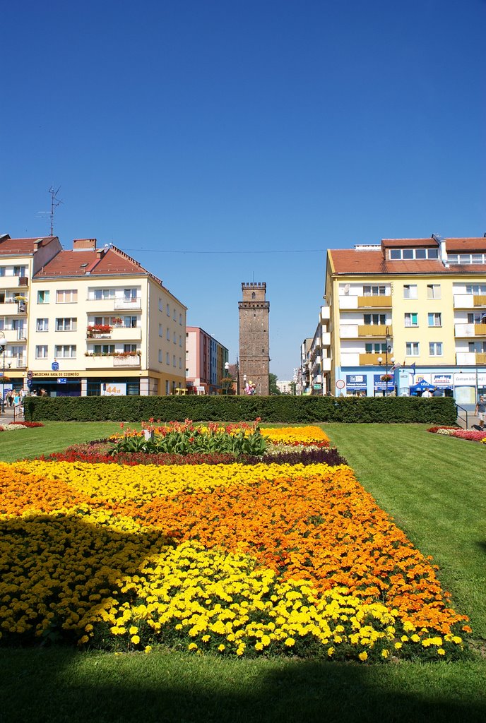 NYSA Rynek - w dali,Wieża Bramy Ziębickiej