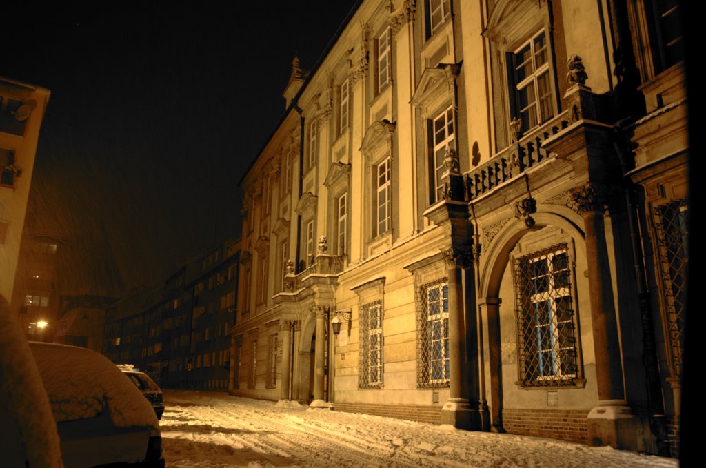 Nysa Muzeum