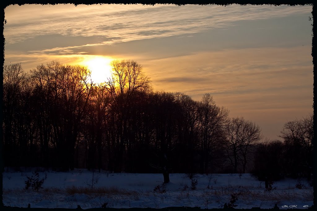 Winter Sunset