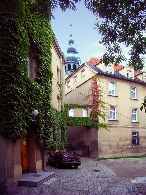 kościół św Piotra i Pawła, widok od strony Syminarium