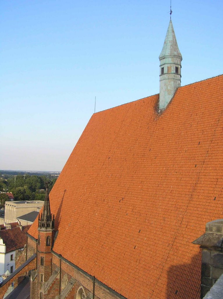 Dach Katedry Nyskiej
