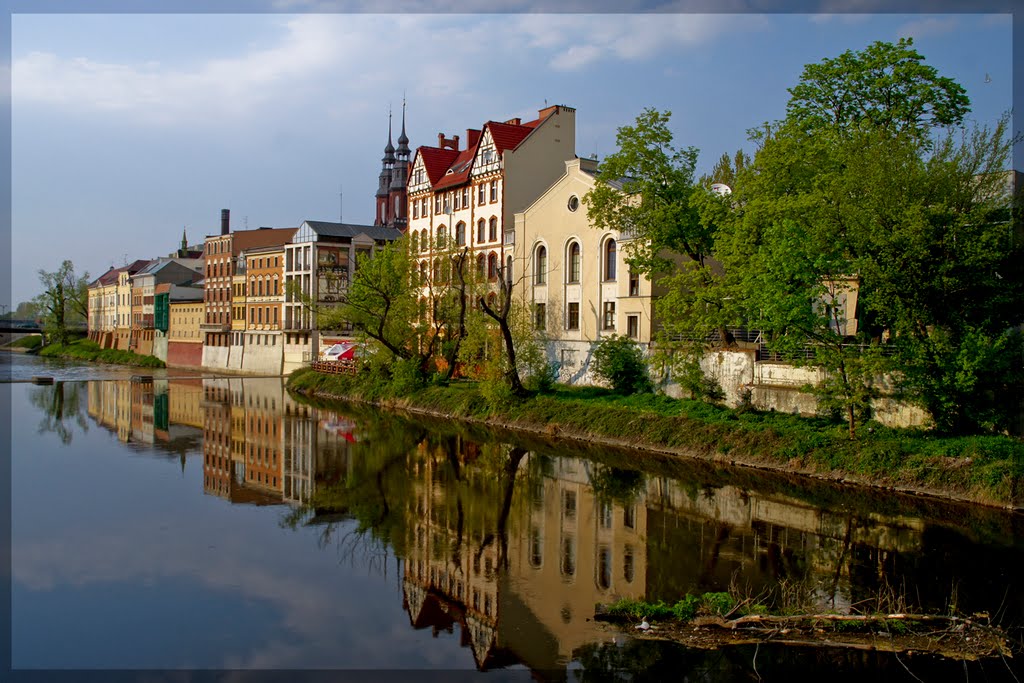 Opolska Wenecja / Venice  in Opole - malby