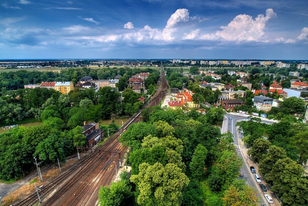 Widok z wieży na zachód /  The view from the tower to the west