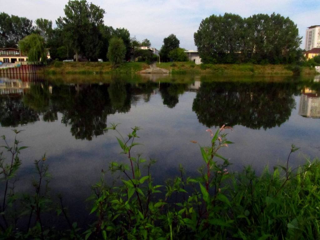 Opole