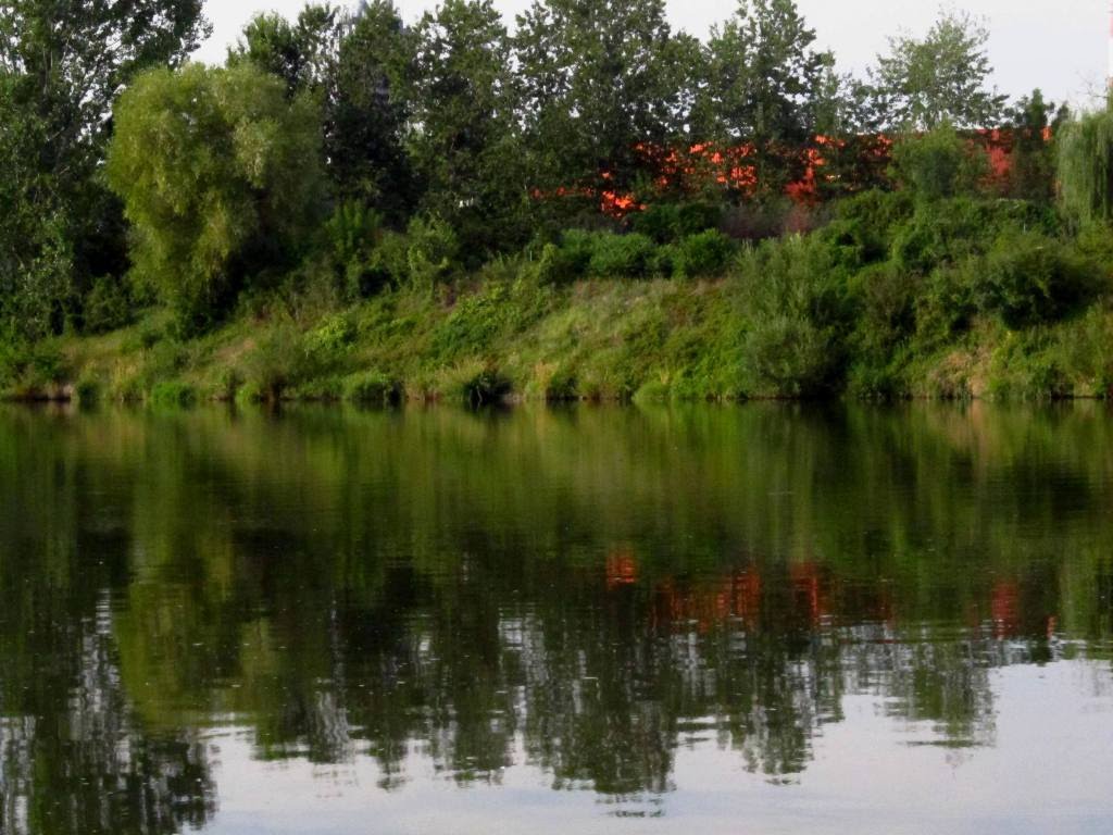 Opole