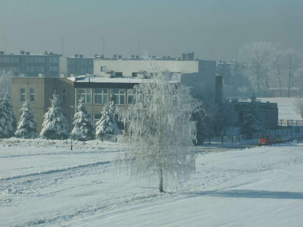 Szkoła Podstawowa nr 1