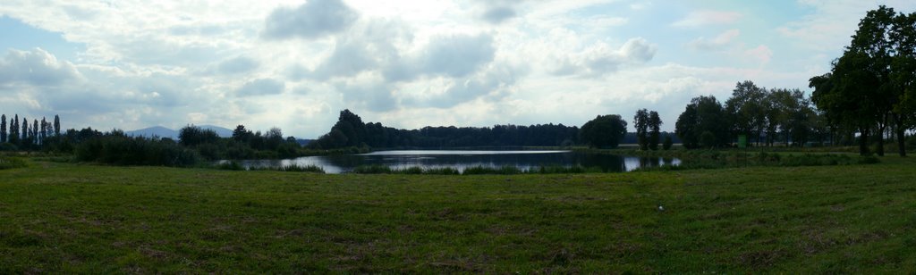 Staw od frontu - 26.08.2008