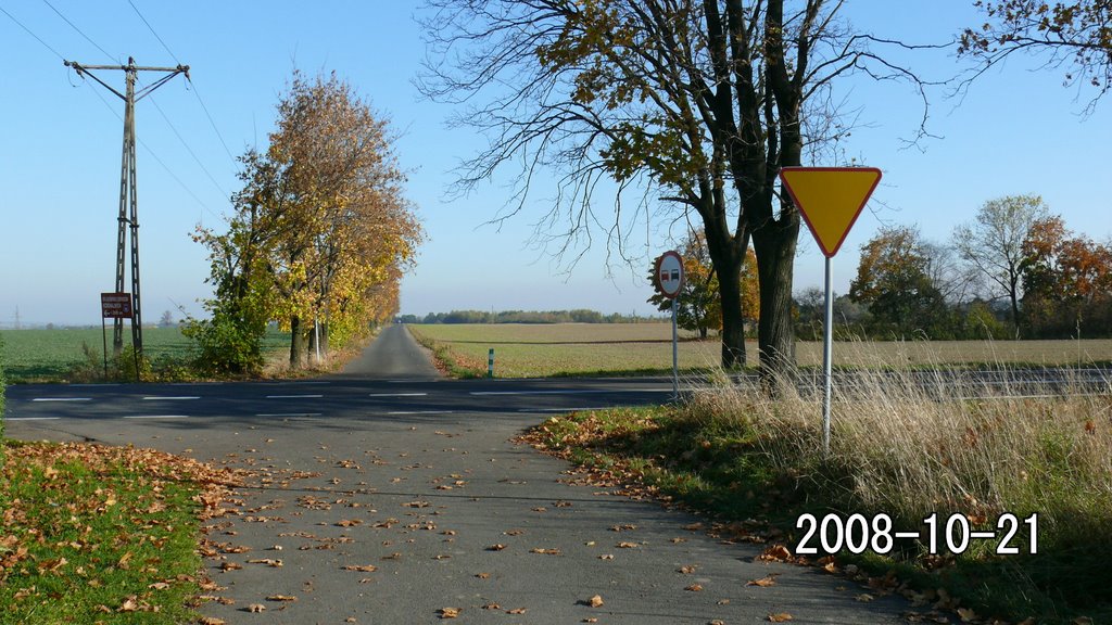 Skrzyżowanie