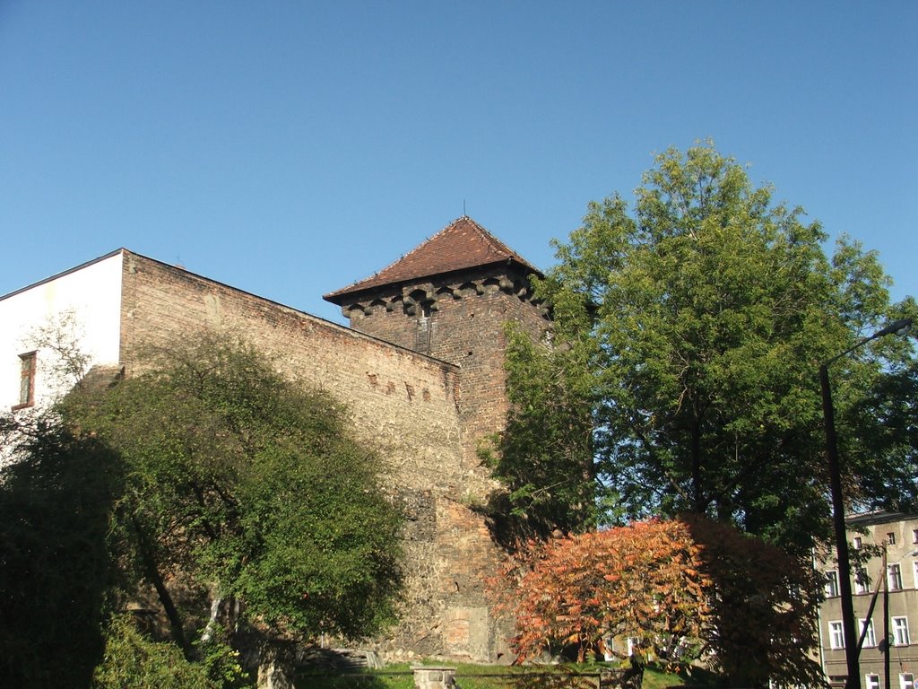 Muzeum Ziemi Prudnickiej (2)