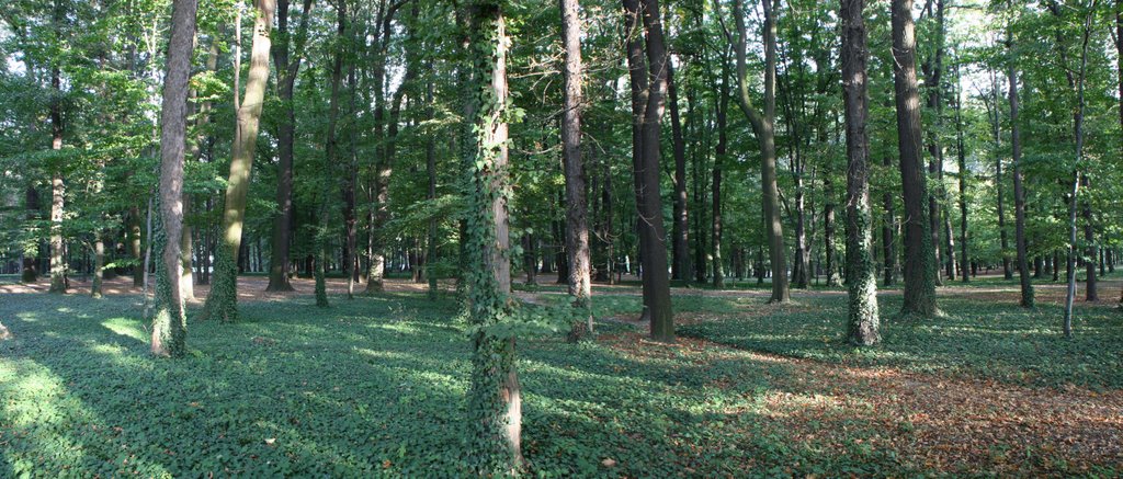 Prudnik, park miejski