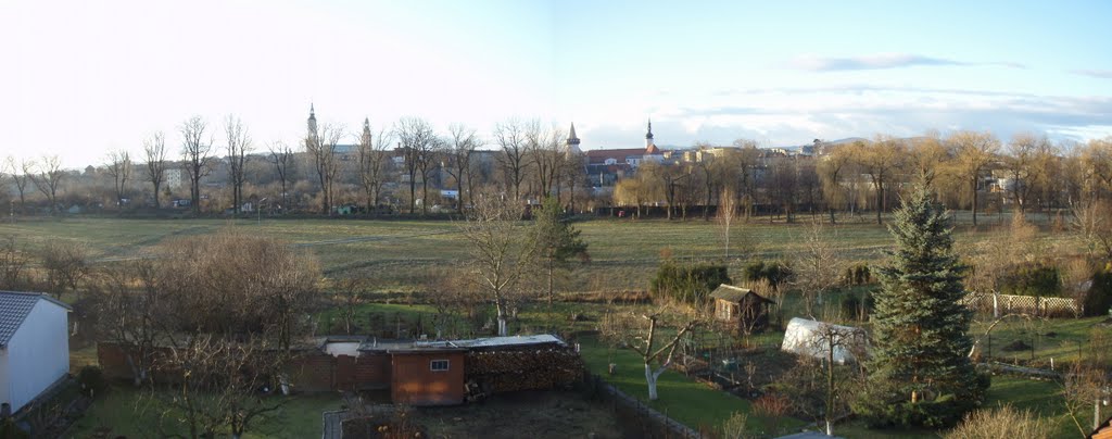 Město Albrechtice