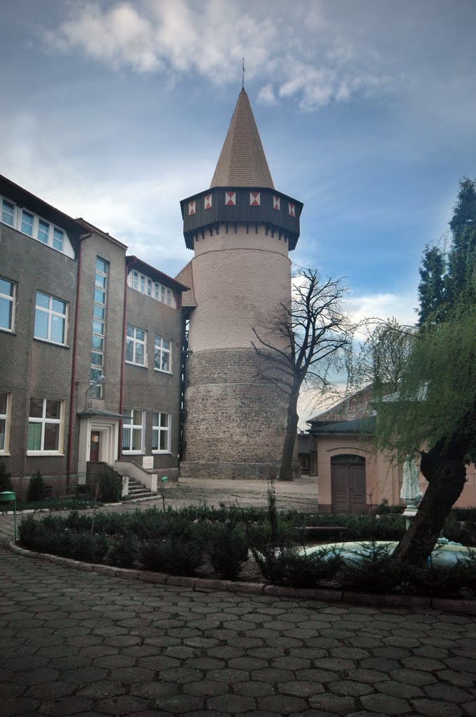 Wieża Woka (www.zamki.pl)