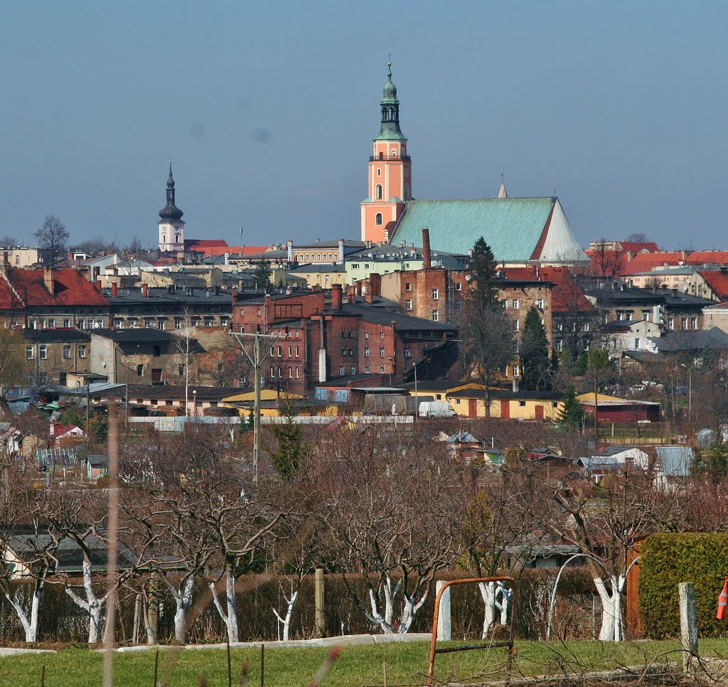 Fragment panoramy Prudnika z Wielkich Łąk (ogródki działkowe przy ul. Wiejskiej)