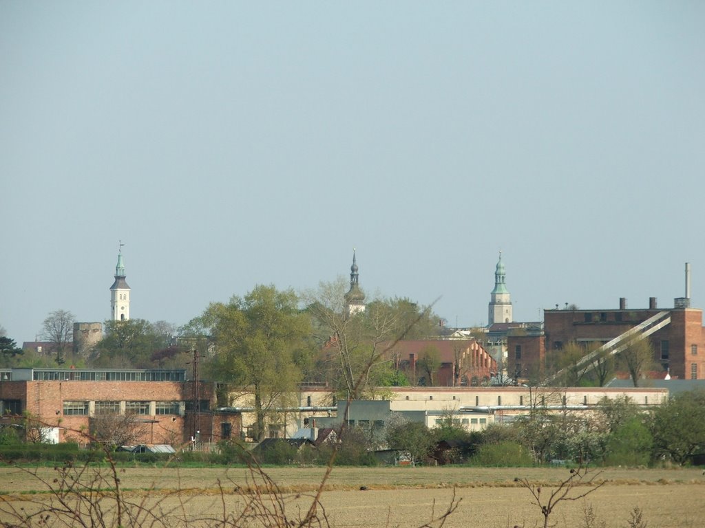 panorama