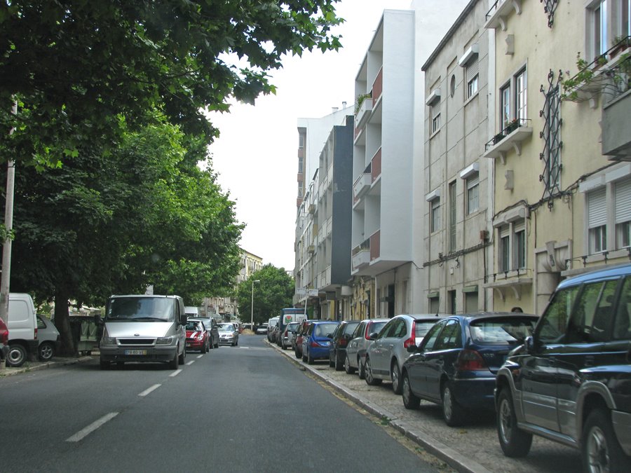 Avenida Dr. Miguel Bombarda - Pendão