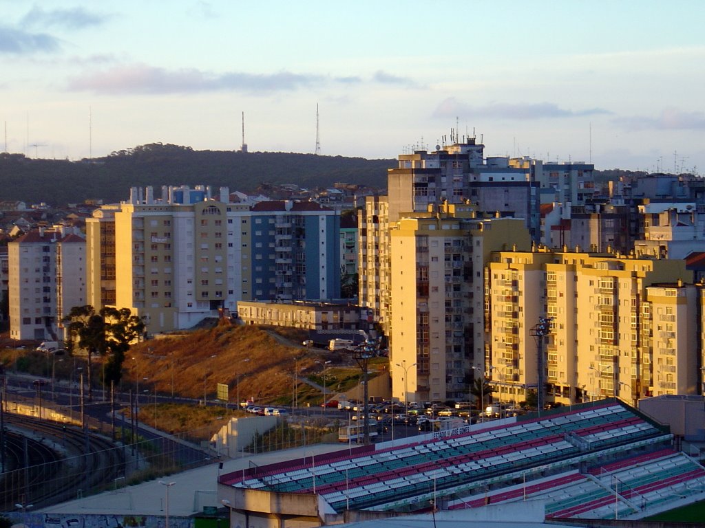 Reboleira