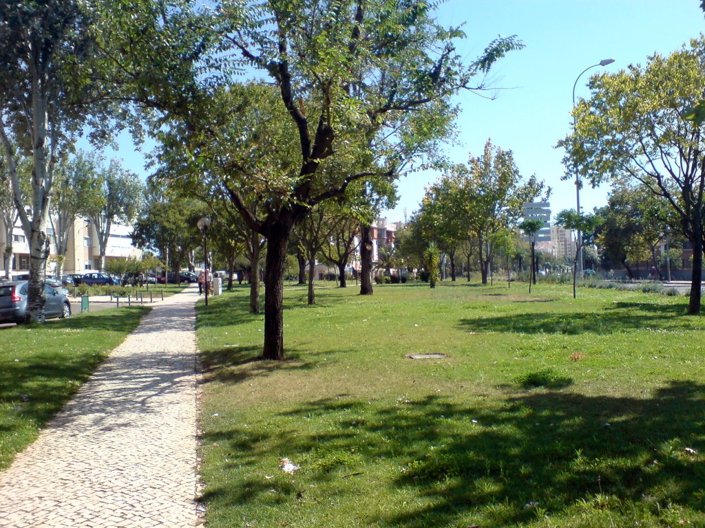 Reboleira