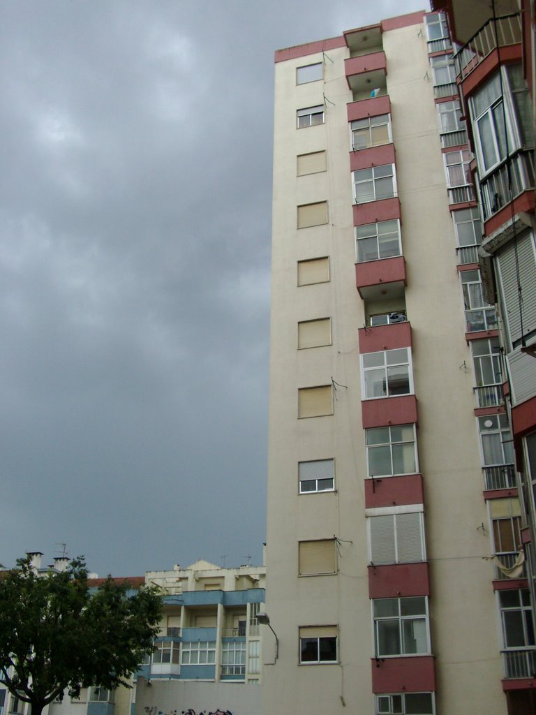 Reboleira, 2009Mai