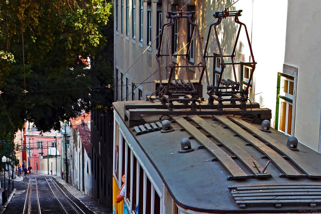 Lisbon