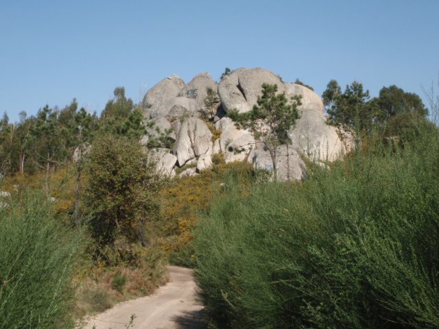 penedo ladrao