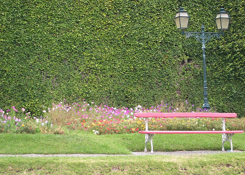 A bench and flowers in Horta