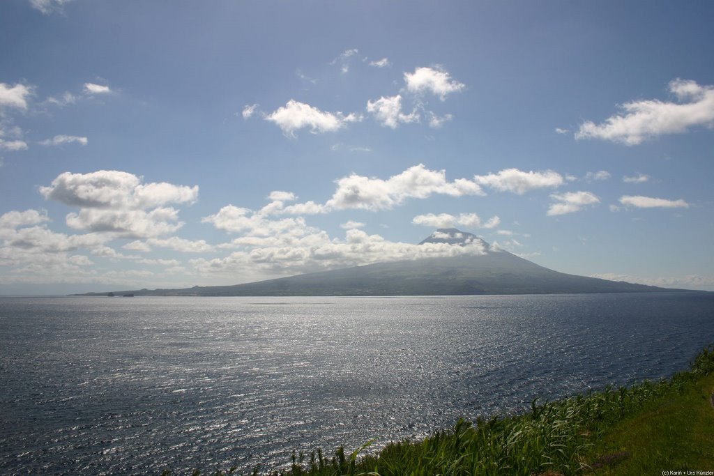 Pico