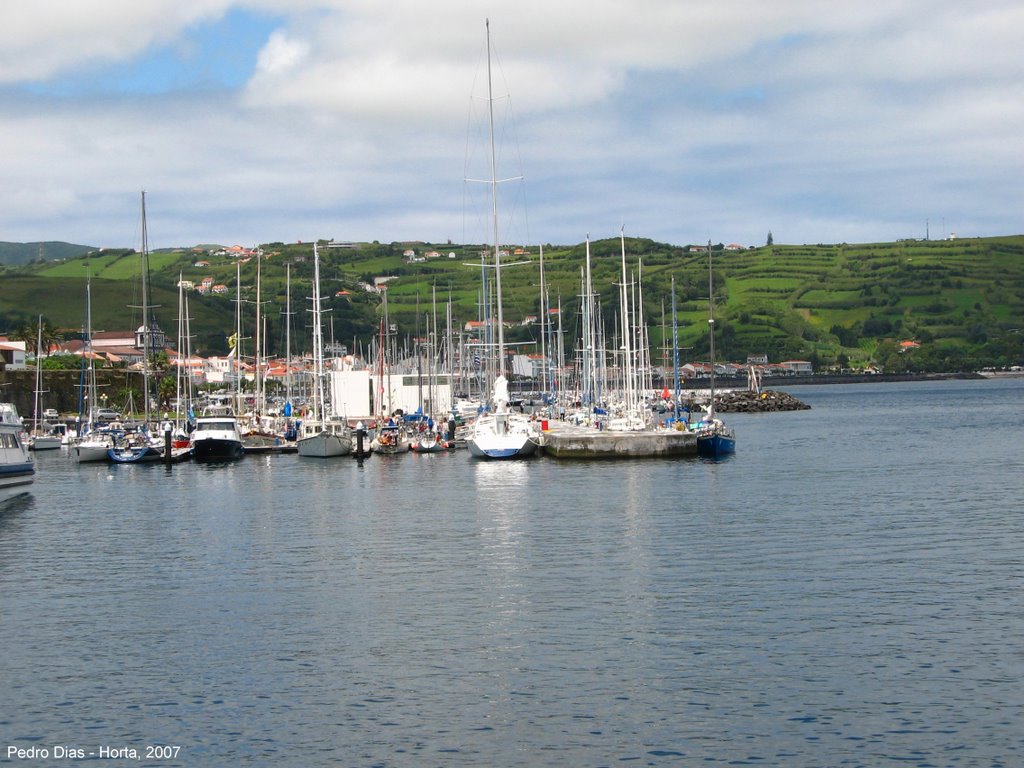 Marina da Horta