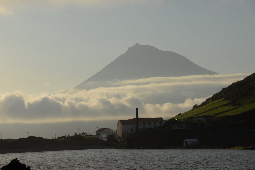 Pico