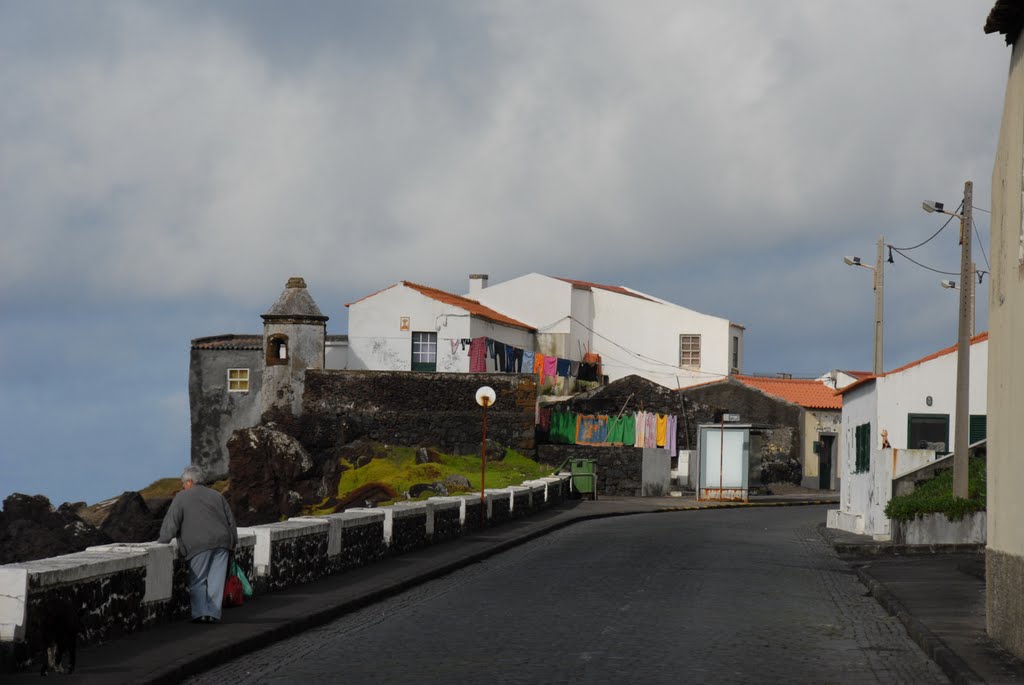 Horta