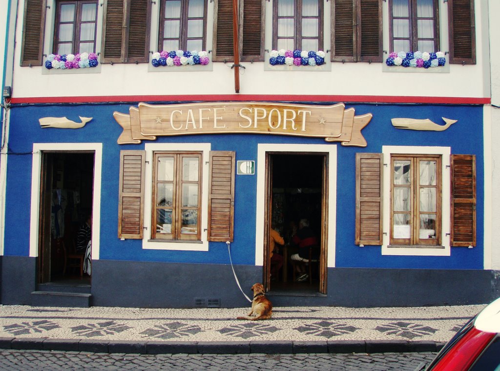 Café Sport, Horta