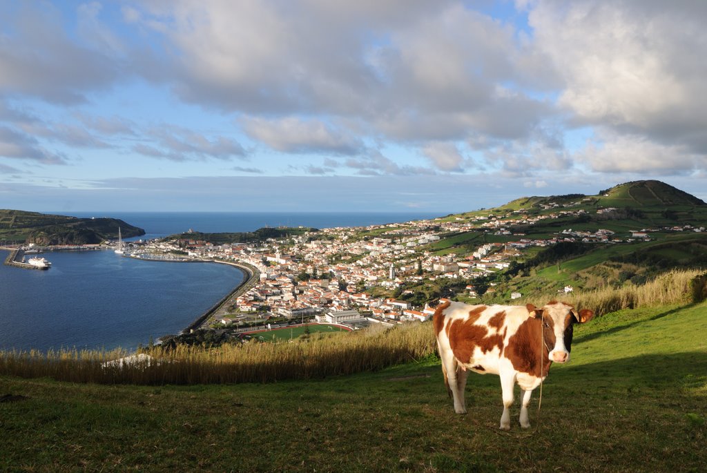 Blick auf Horta