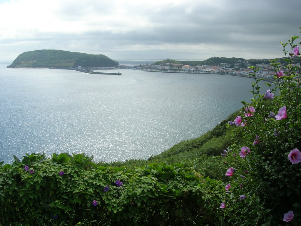 Faial