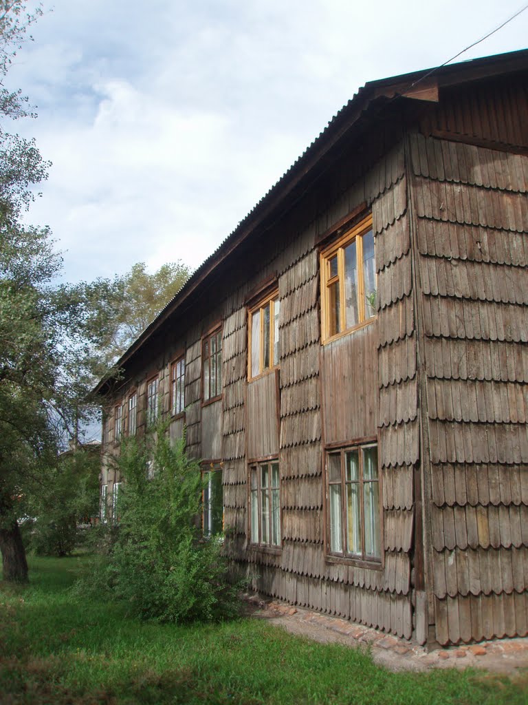Unusual wooden house