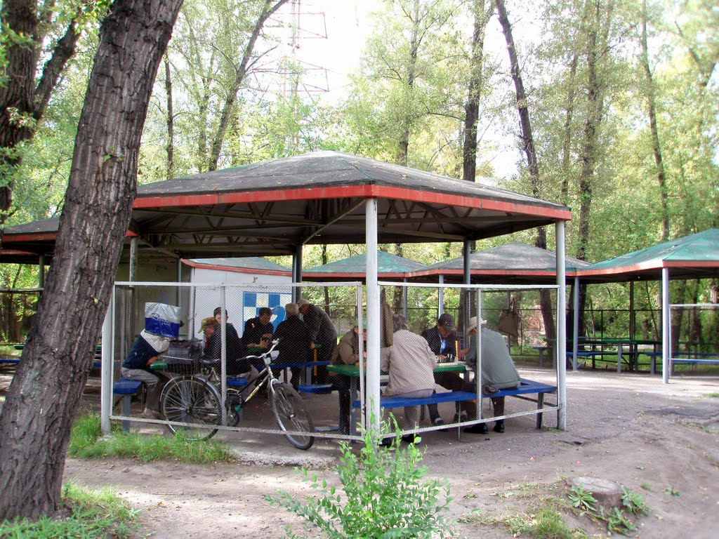 Chess players in the park Orlyonok