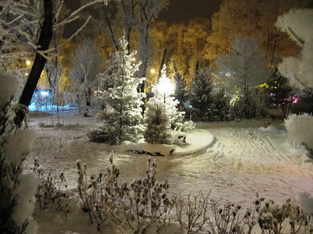 Снежный парк